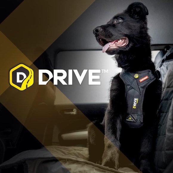 DRIVE™ DOG CAR HARNESS (LARGE) - Picture 2 of 7